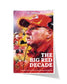 Andy Reid Chiefs “The Big Red Decade” Framed Commemorative Poster - Title Game Frames