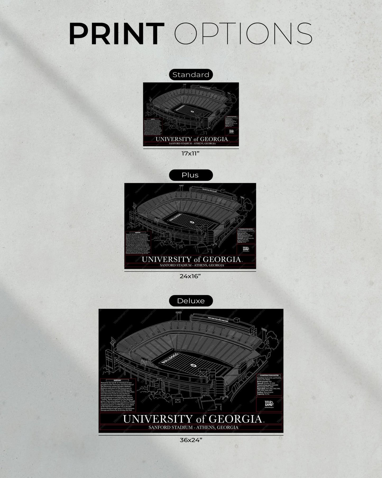 University of Georgia Bulldogs - Dooley Field at Sanford Stadium Blueprint - Title Game Frames