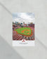 St Louis Cardinals Busch Stadium Framed Print - Title Game Frames