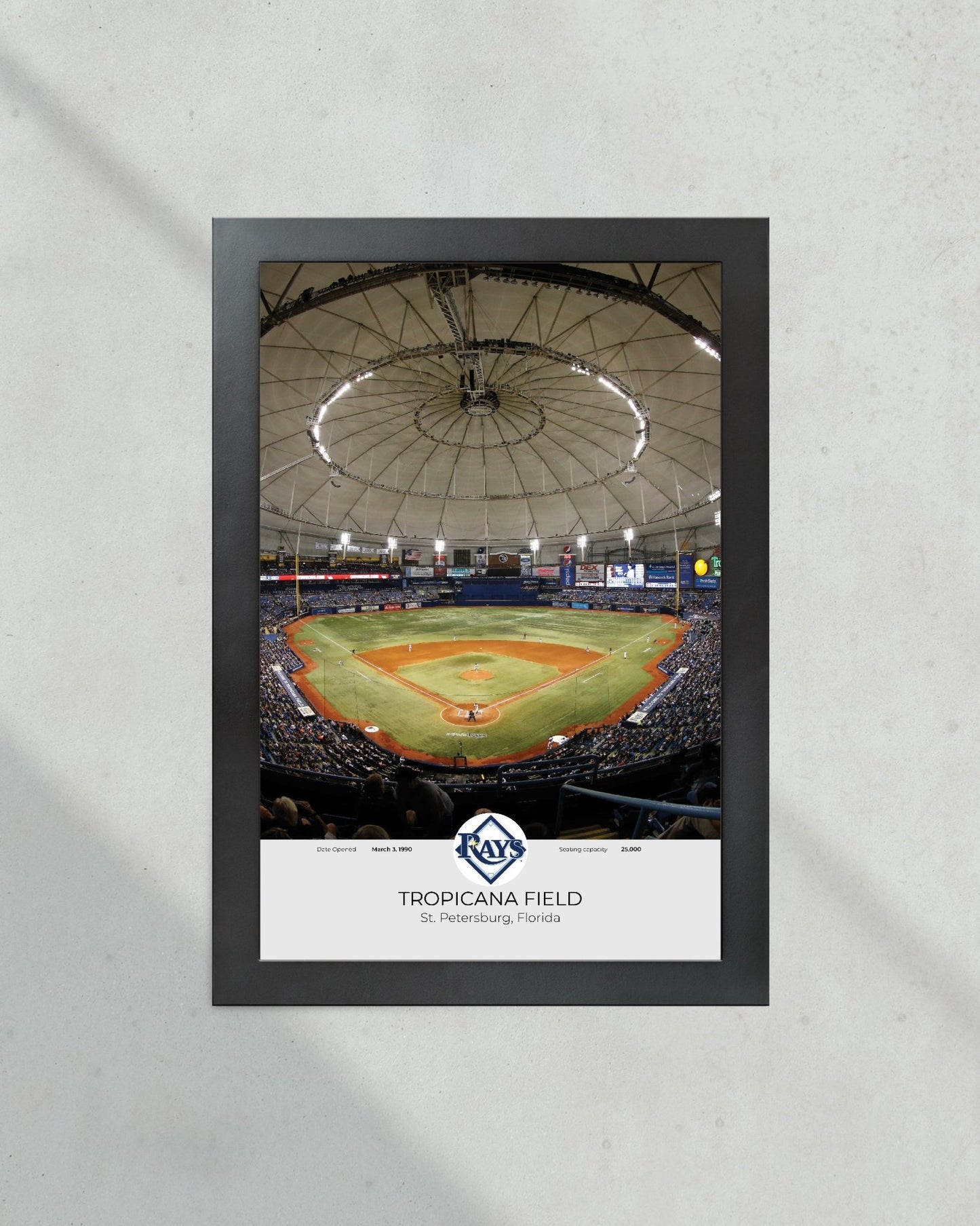 Tampa Bay Rays Tropicana Field Framed Print - Title Game Frames