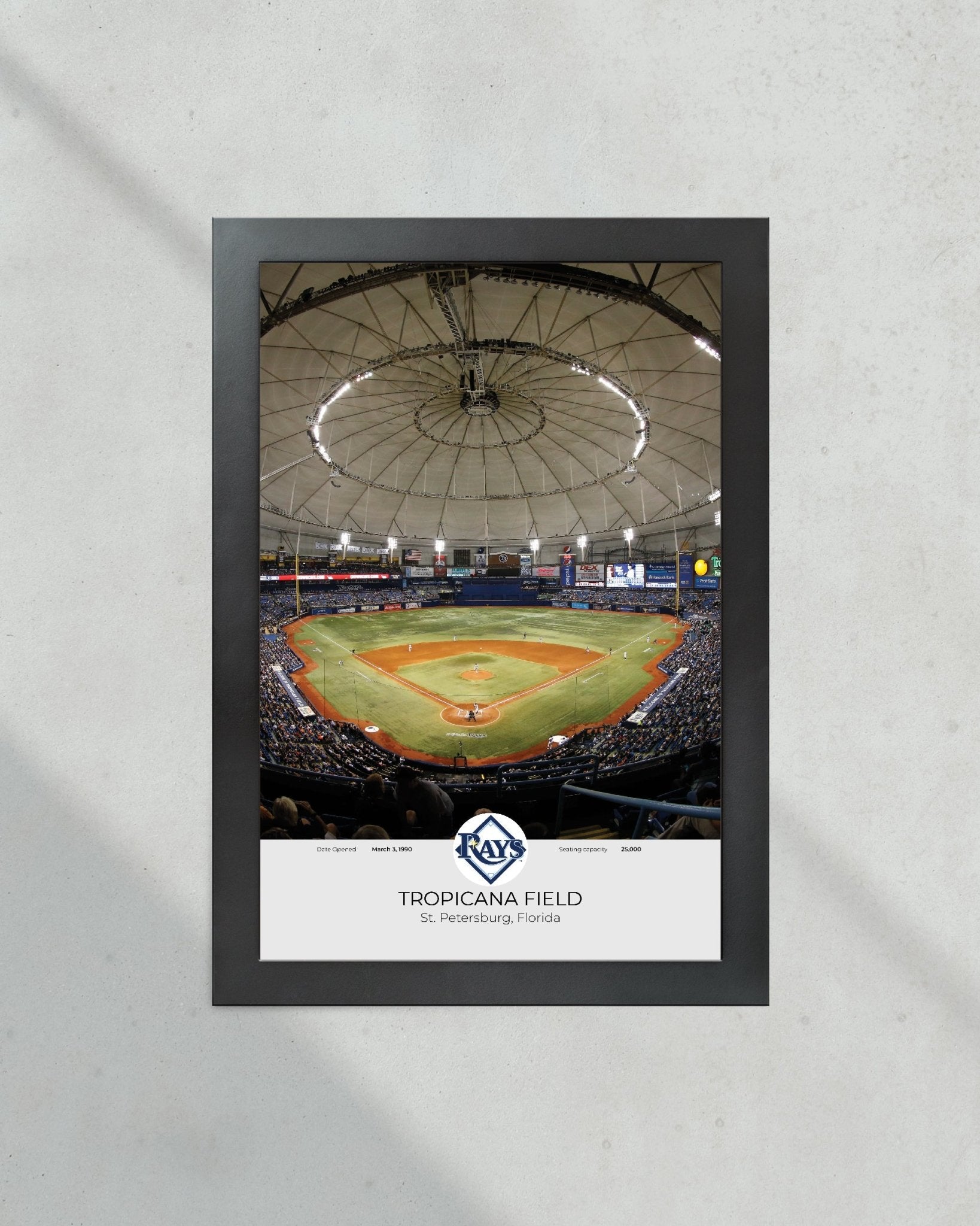 Tampa Bay Rays Tropicana Field Framed Print - Title Game Frames