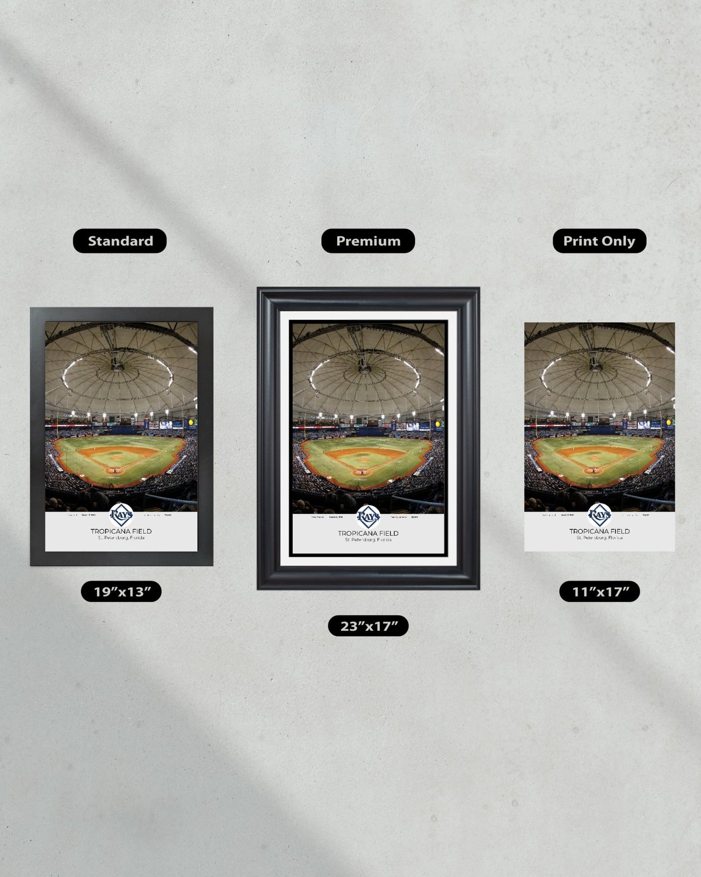 Tampa Bay Rays Tropicana Field Framed Print - Title Game Frames