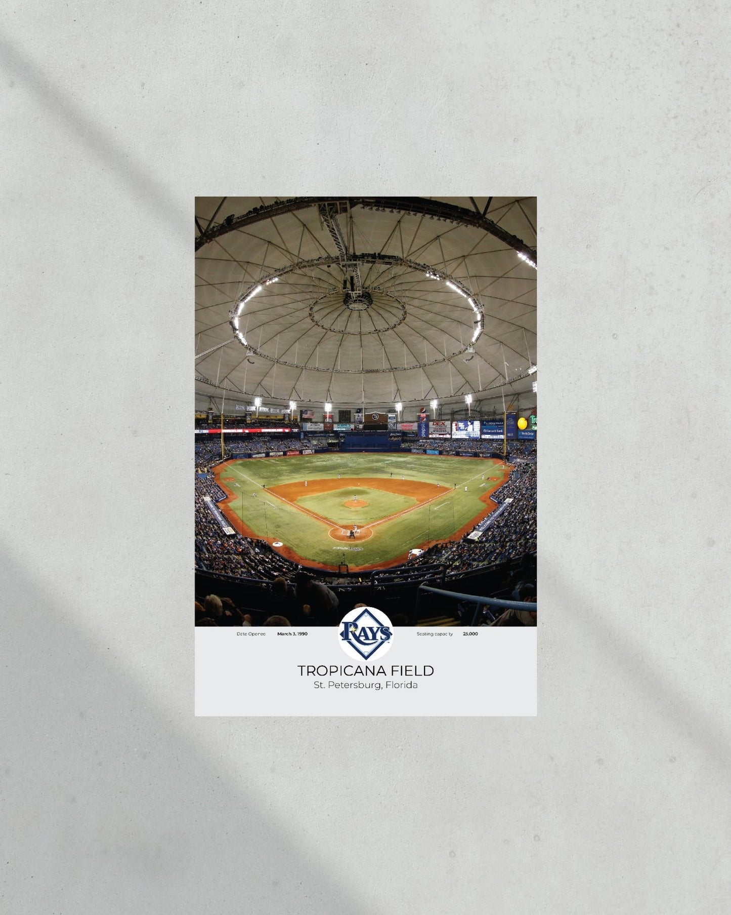 Tampa Bay Rays Tropicana Field Framed Print - Title Game Frames